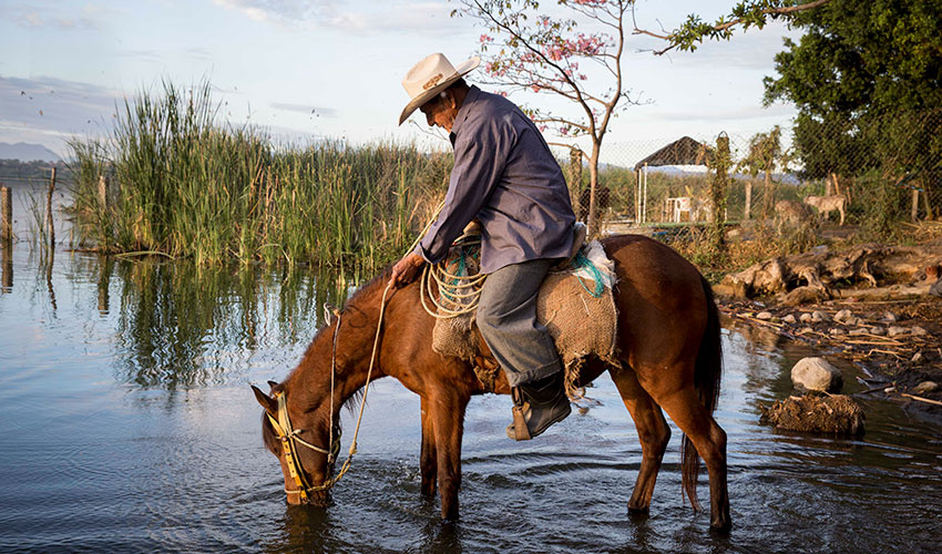 A rider lets his horse drink from Coatetelco Lake in Mexico 