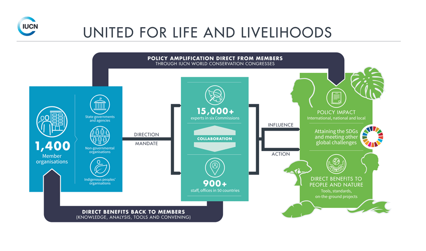 Infographic - about IUCN