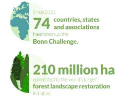 The Bonn Challenge in numbers