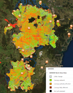 Fire impact on the tree canopy across the Greater Blue Mountains World Heritage Area. 