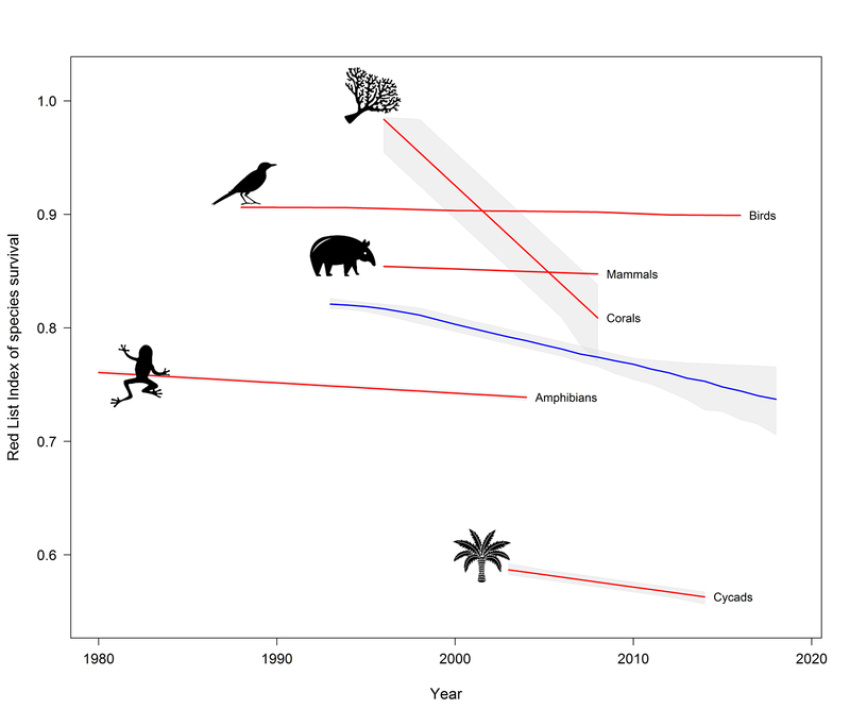 The IUCN Red List Index (RLI) of species survival for mammals, birds, amphibians, reef-forming corals and cycads.