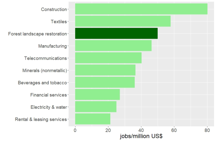 El Salvador: comparison of job creation by USD