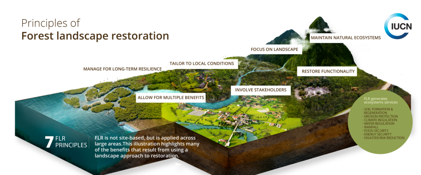 mountain to ocean landscape in 3d