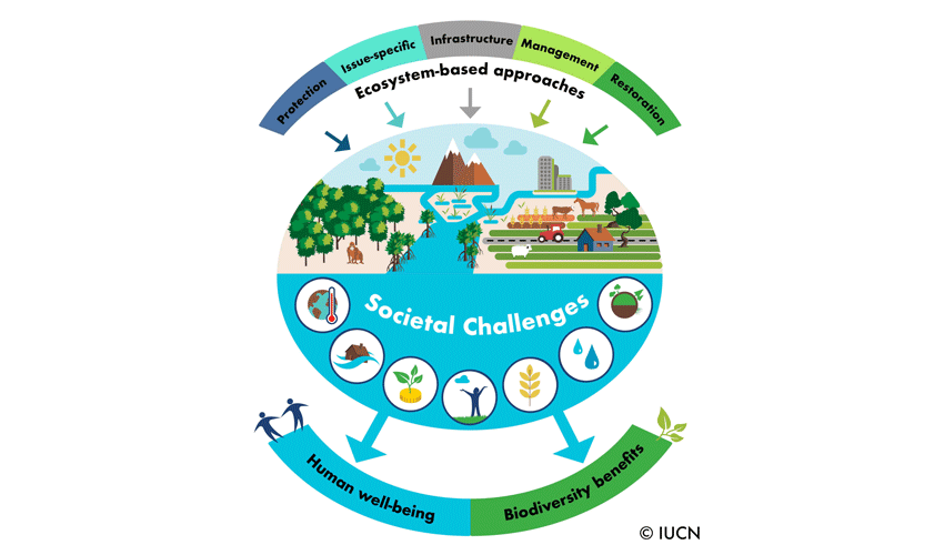 Nature-based solutions ecosystem approaches infographic