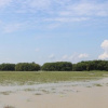 Moeyungyi-Wetland-Wildlfie-Santuary