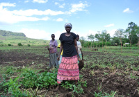 Women in Community Garden, Uganda