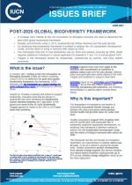 Post-2020 global biodiversity framework